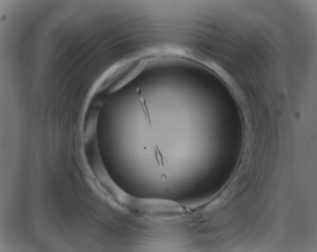 X0000086270864200704051308