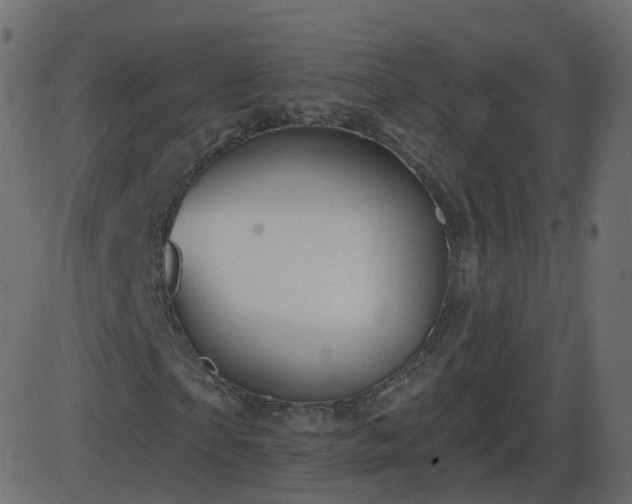 X0000086270865200704051307