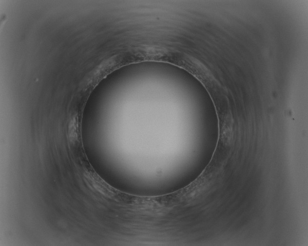 X0000086270866200704051307