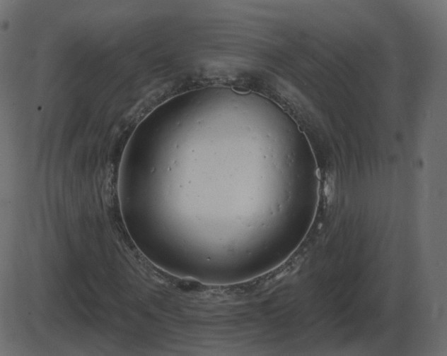 X0000086270867200704051307