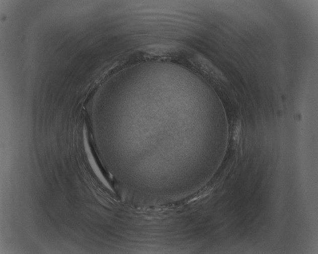 X0000086270868200704051307