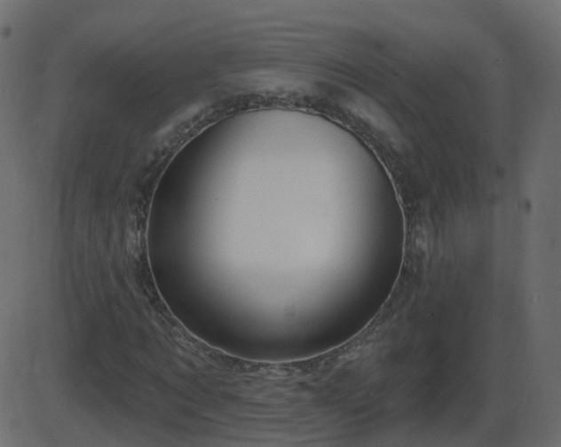 X0000086270869200704051307