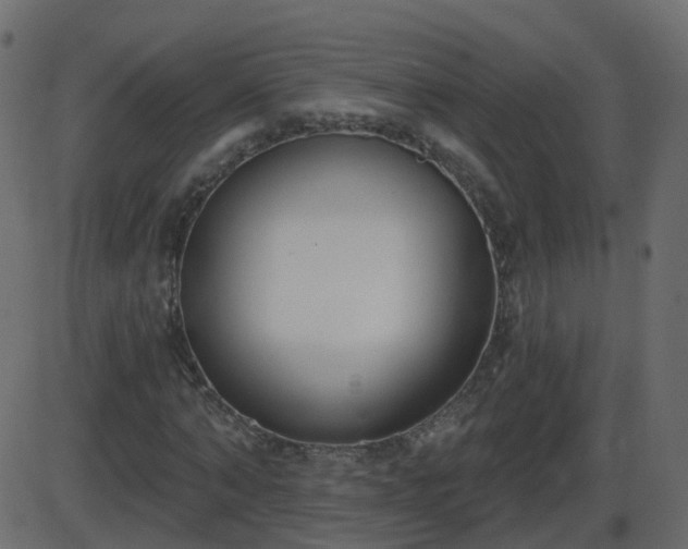 X0000086270870200704051307