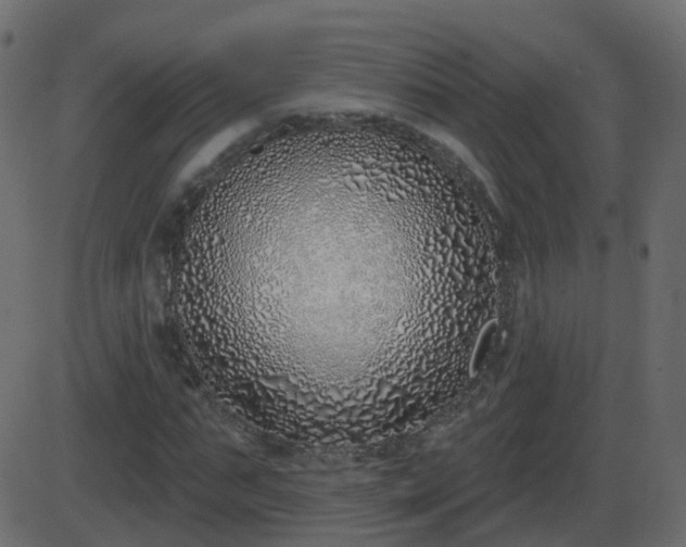 X0000086270871200704051307