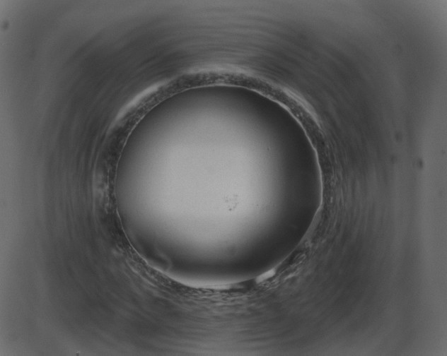 X0000086270872200704051307