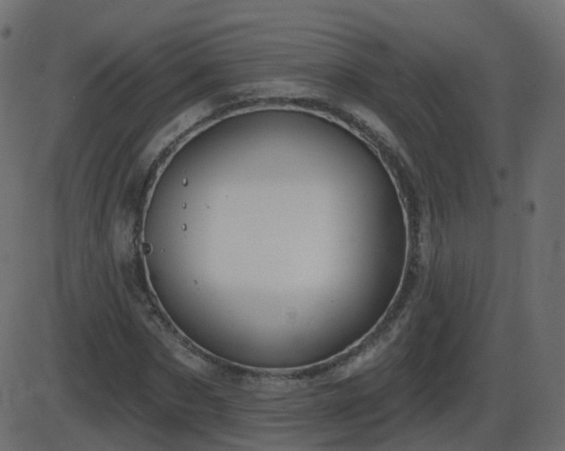 X0000086270873200704051307