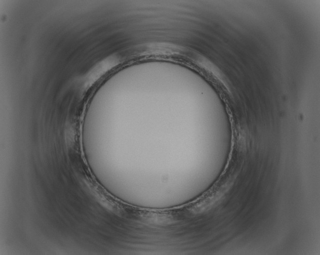 X0000086270874200704051307