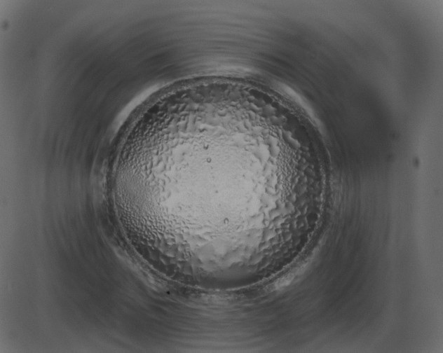 X0000086270875200704051307