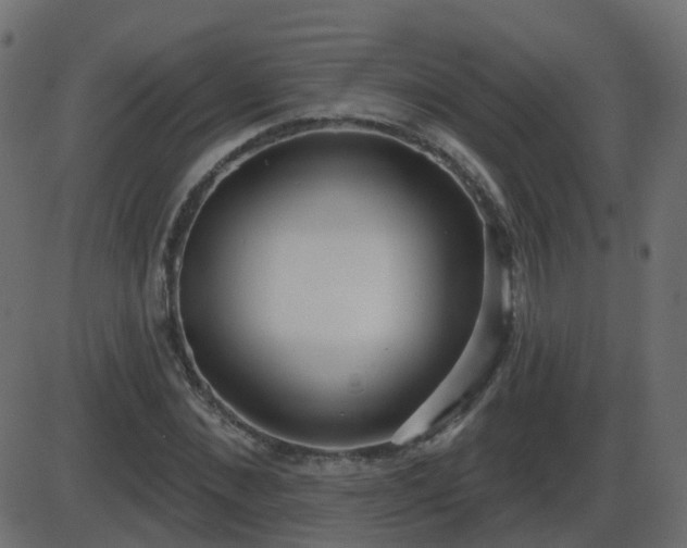 X0000086270876200704051307