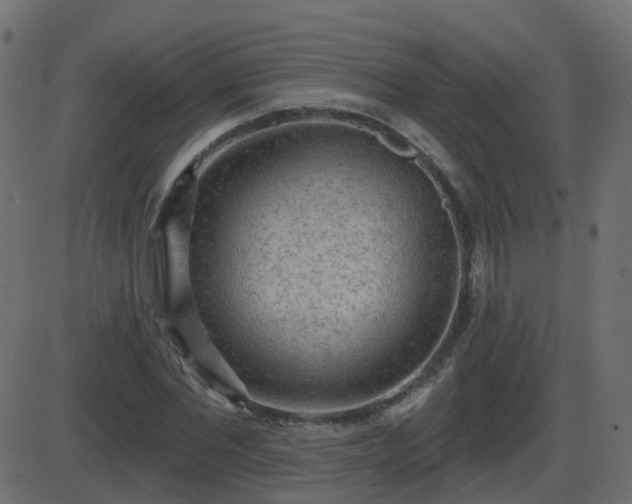 X0000086270877200704051307