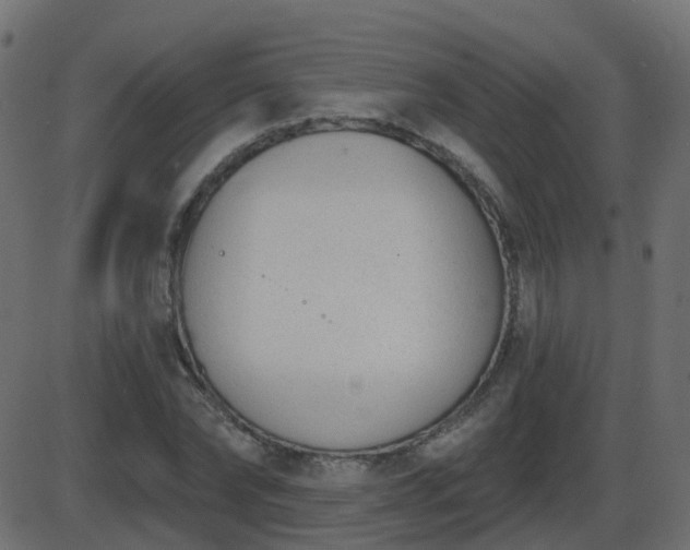 X0000086270878200704051306