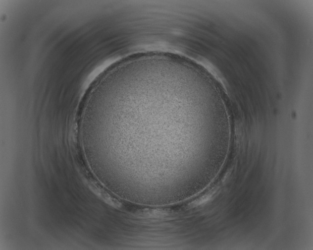 X0000086270879200704051306