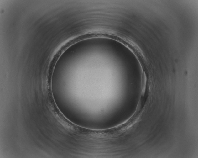 X0000086270880200704051306