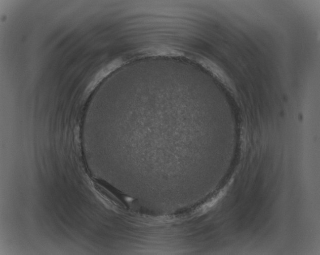 X0000086270881200704051306