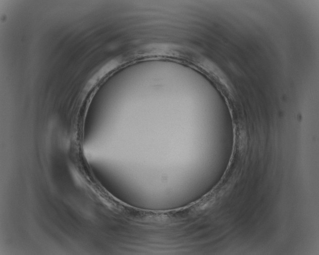 X0000086270882200704051306