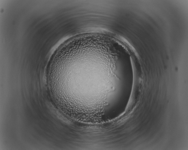 X0000086270883200704051306