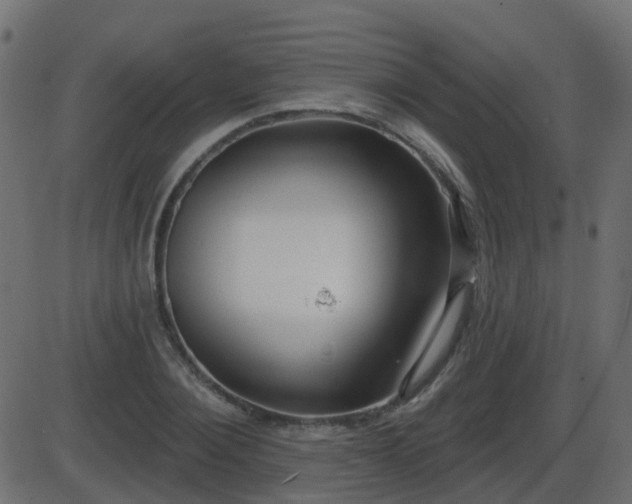 X0000086270884200704051306