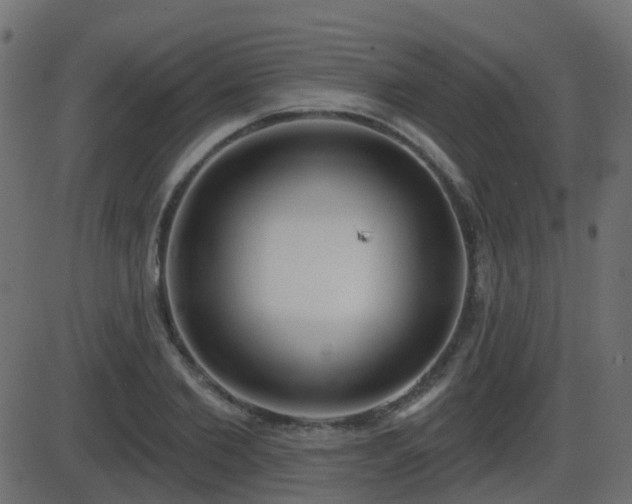 X0000086270885200704051306