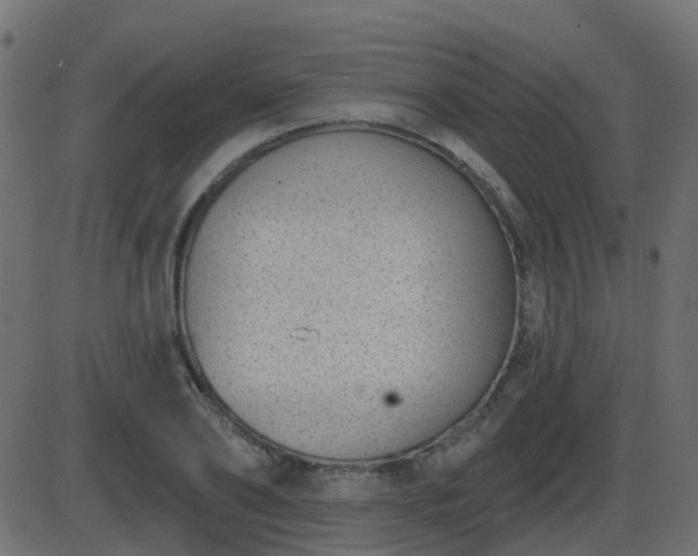 X0000086270886200704051306