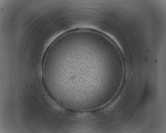 X0000086270887200704051306