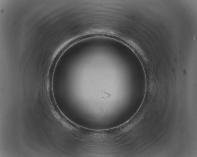 X0000086270888200704051306