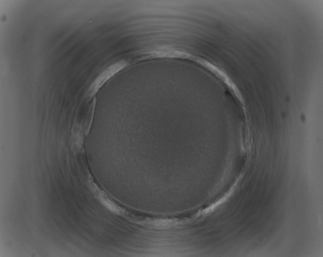 X0000086270889200704051306