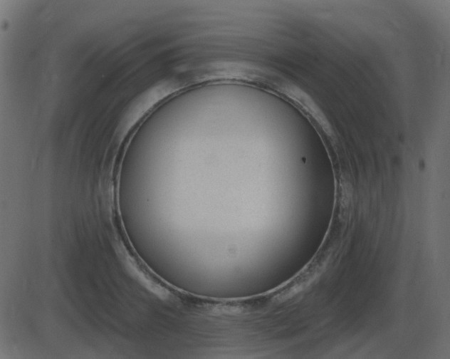 X0000086270890200704051306