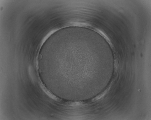 X0000086270891200704051306