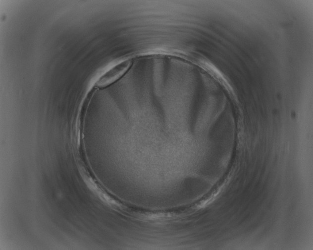 X0000086270892200704051306