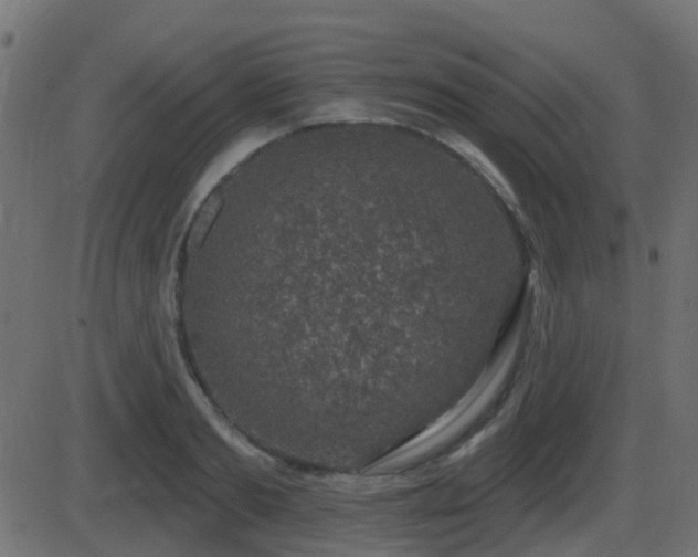 X0000086270893200704051306