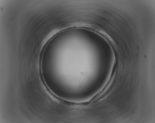 X0000086270894200704051306