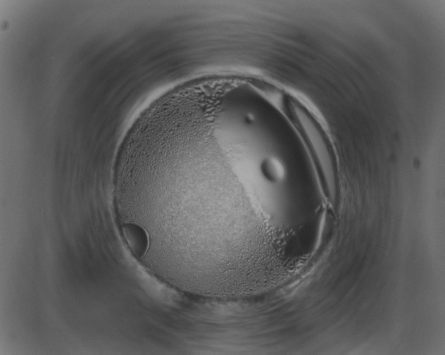 X0000086270895200704051306