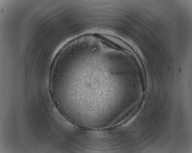 X0000086270896200704051306