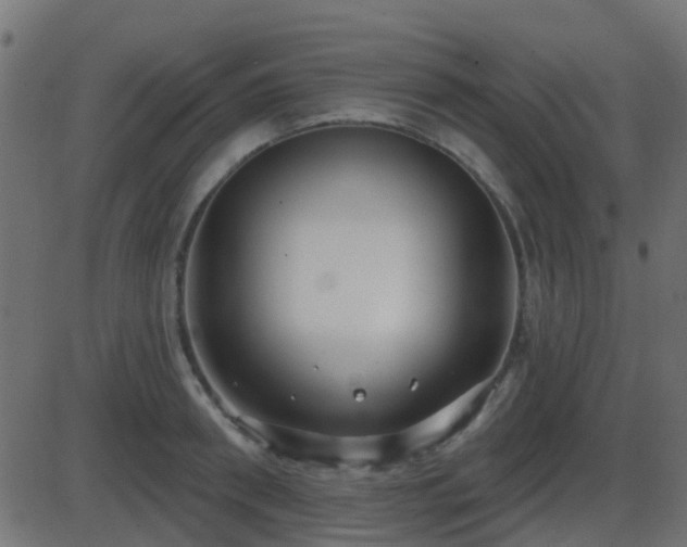 X0000086270898200704051306