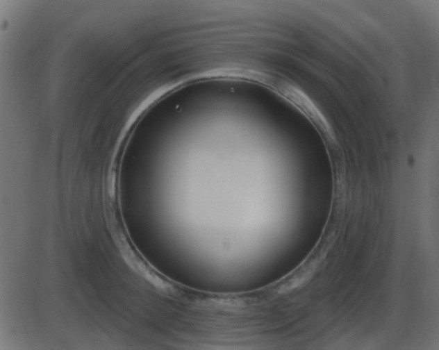 X0000086270900200704051306