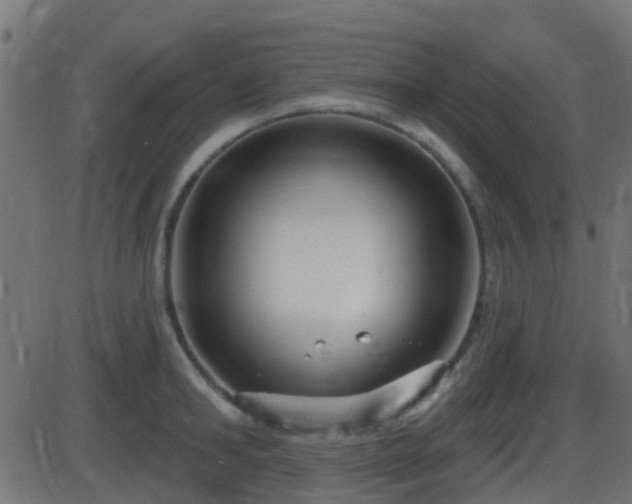 X0000086270902200704051306