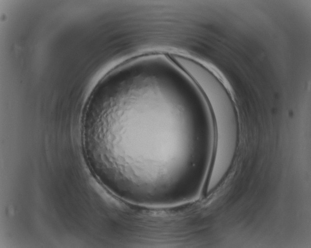 X0000086270903200704051306