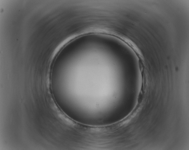 X0000086270904200704051306