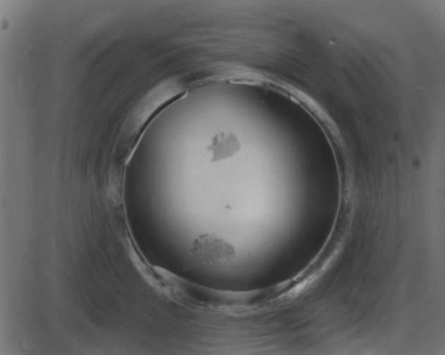 X0000086270905200704051306