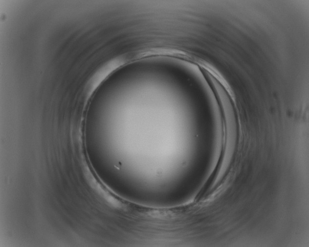 X0000086270906200704051306