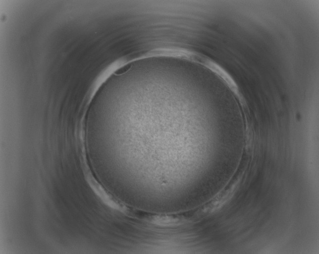 X0000086270907200704051306