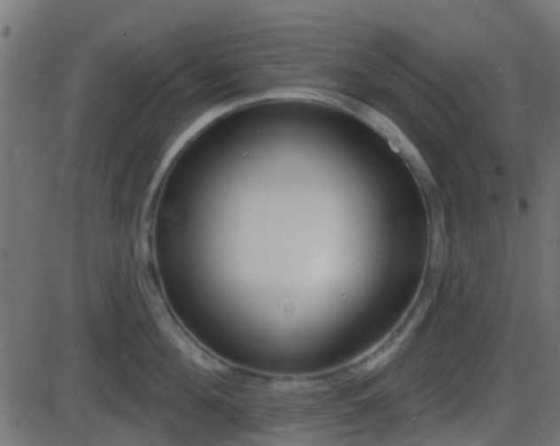 X0000086270908200704051306