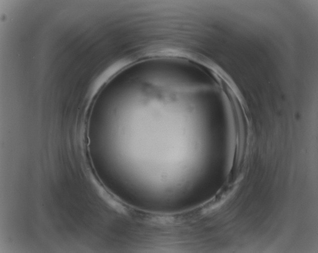 X0000086270909200704051306