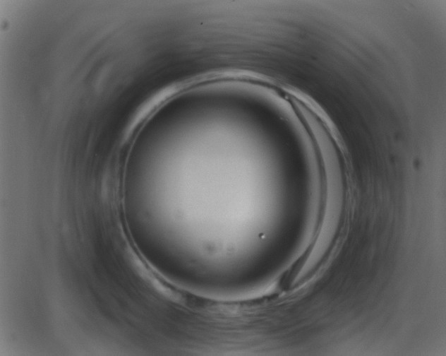 X0000086270910200704051306