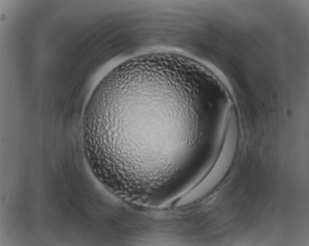 X0000086270911200704051306