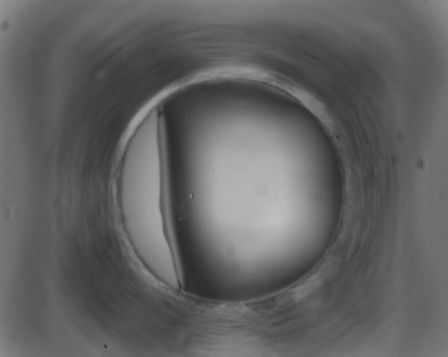 X0000086270912200704051306