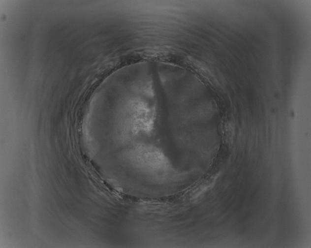 X0000086270913200704051305