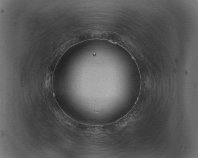 X0000086270914200704051305