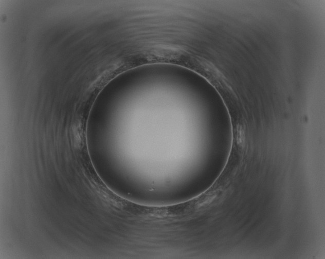 X0000086270915200704051305