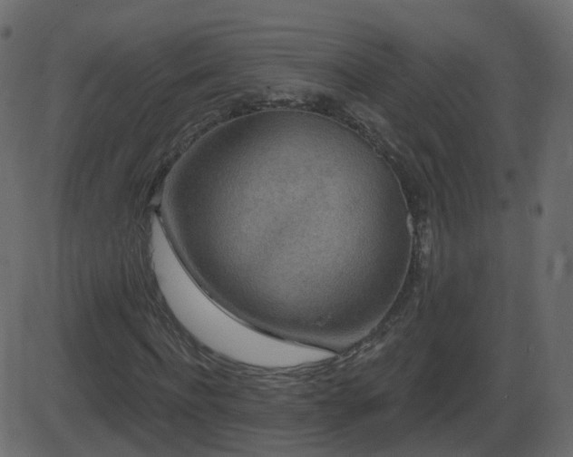 X0000086270916200704051305